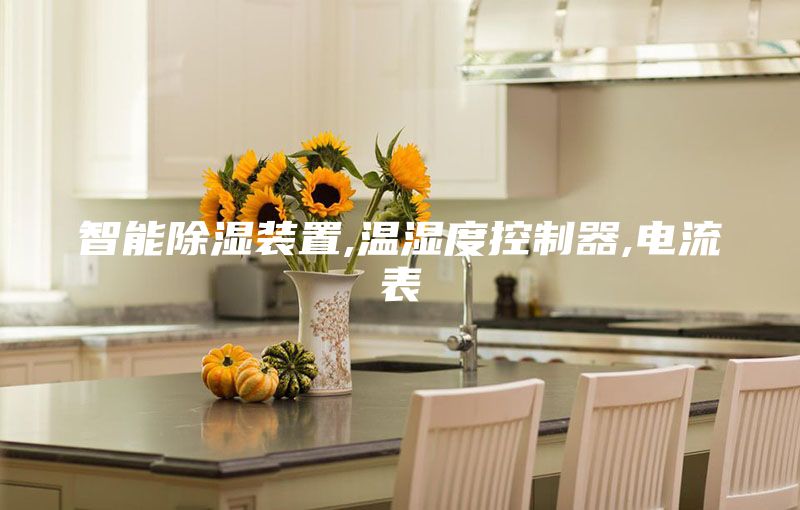 智能除濕裝置,溫濕度控制器,電流表