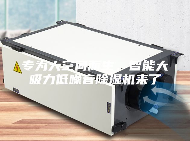 專為大空間而生,智能大吸力低噪音除濕機(jī)來(lái)了