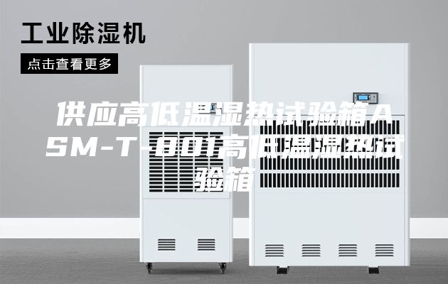 供應(yīng)高低溫濕熱試驗(yàn)箱ASM-T-801高低溫濕熱試驗(yàn)箱