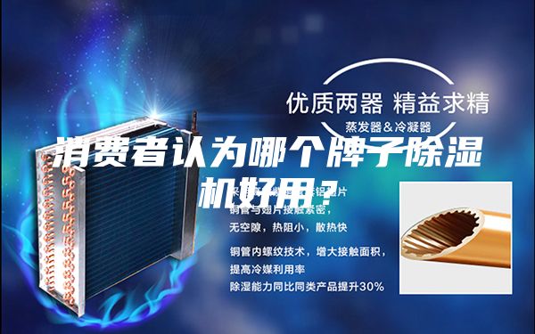 消費者認為哪個牌子除濕機好用？