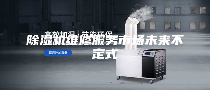 除濕機(jī)維修服務(wù)市場(chǎng)未來(lái)不定式