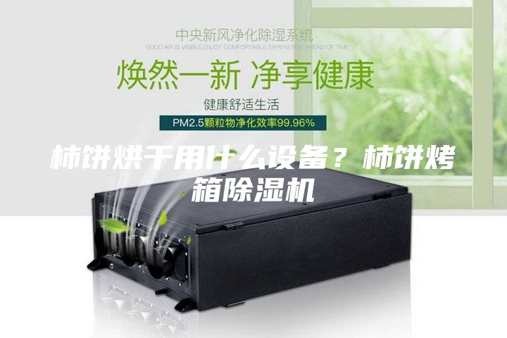 柿餅烘干用什么設備？柿餅烤箱除濕機