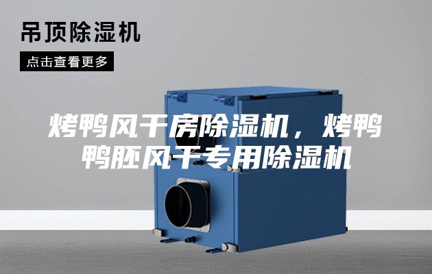 烤鴨風(fēng)干房除濕機(jī),烤鴨鴨胚風(fēng)干專用除濕機(jī)