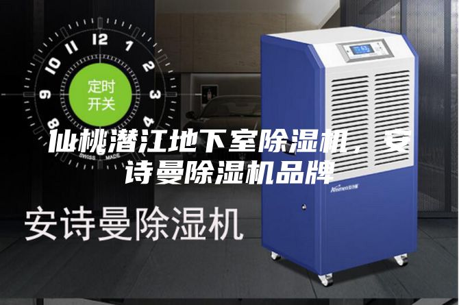 仙桃潛江地下室除濕機，安詩曼除濕機品牌