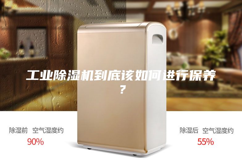 工業(yè)除濕機到底該如何進行保養(yǎng)?