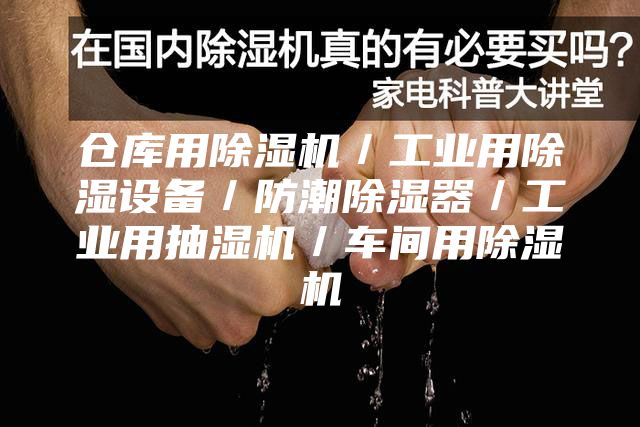 倉庫用除濕機(jī)/工業(yè)用除濕設(shè)備/防潮除濕器/工業(yè)用抽濕機(jī)/車間用除濕機(jī)