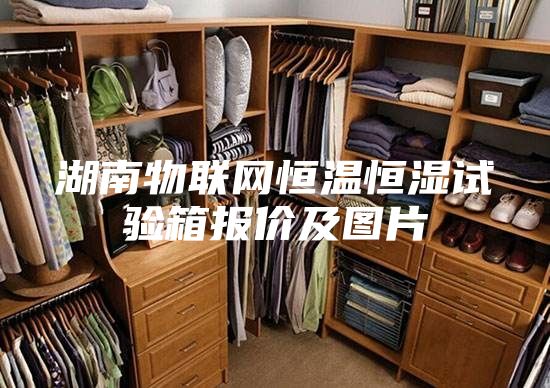 湖南物聯網恒溫恒濕試驗箱報價及圖片