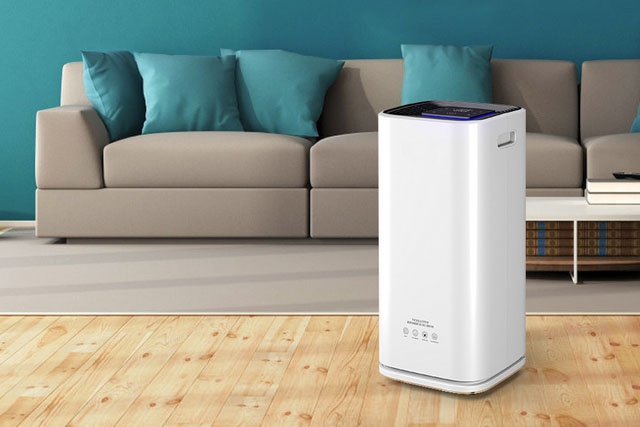 室內怎么防蟲防潮才有效？