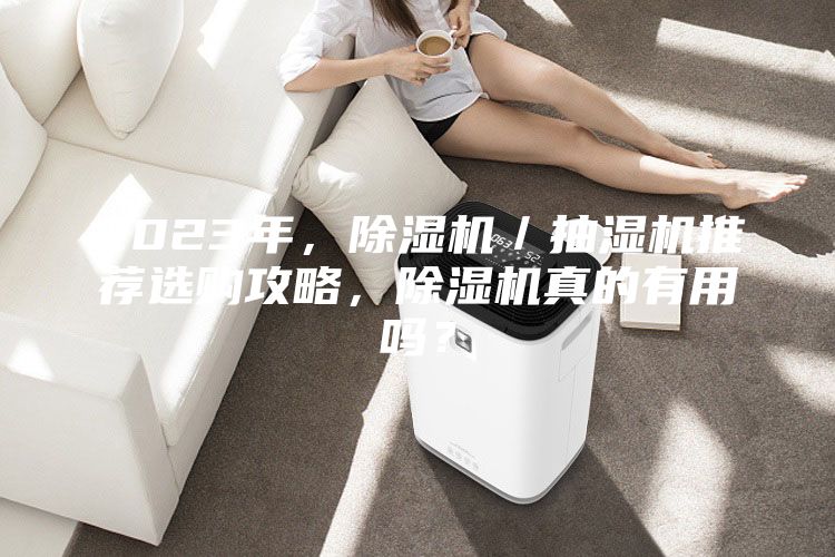2023年,除濕機/抽濕機推薦選購攻略,除濕機真的有用嗎?