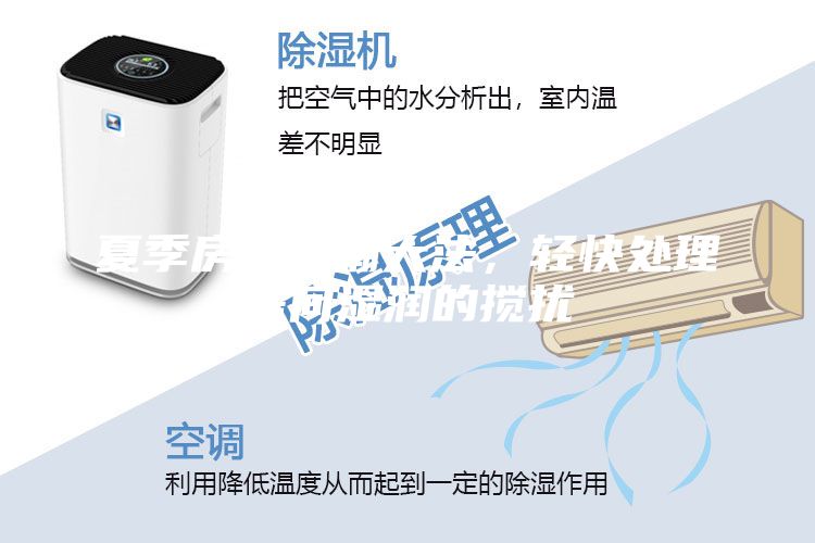 夏季房屋防潮大法,輕快處理房間濕潤(rùn)的攪擾
