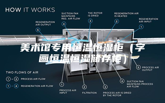 美術館專用恒溫恒濕柜(字畫恒溫恒濕儲存柜)