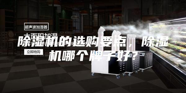除濕機(jī)的選購要點，除濕機(jī)哪個牌子好？