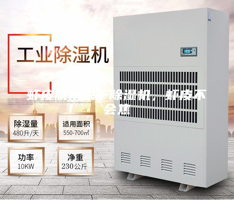 蝦皮脫水烘干除濕機,蝦皮不會焦