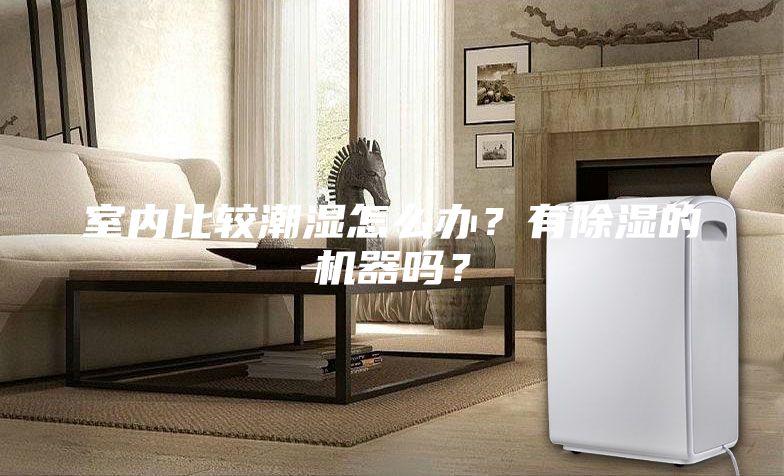 室內比較潮濕怎么辦？有除濕的機器嗎？