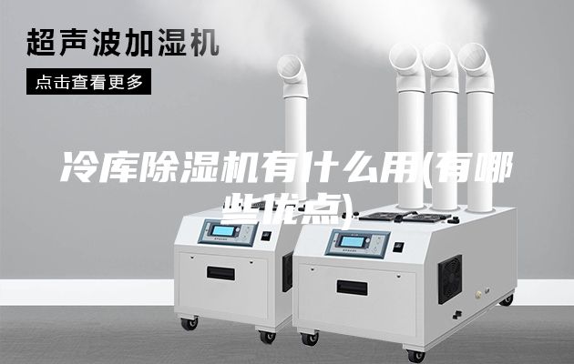 冷庫除濕機有什么用(有哪些優(yōu)點)