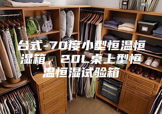臺式-70度小型恒溫恒濕箱，20L桌上型恒溫恒濕試驗箱