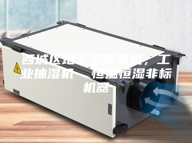 西城區地下室除濕機,工業抽濕機 恒溫恒濕非標機器