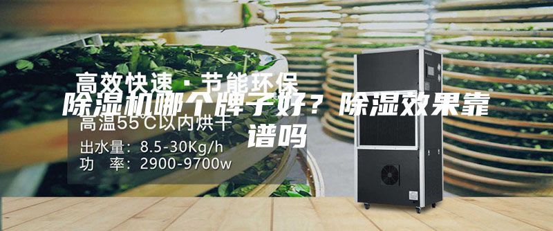 除濕機(jī)哪個(gè)牌子好？除濕效果靠譜嗎