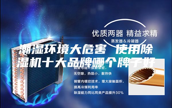 潮濕環(huán)境大危害 使用除濕機(jī)十大品牌哪個(gè)牌子好