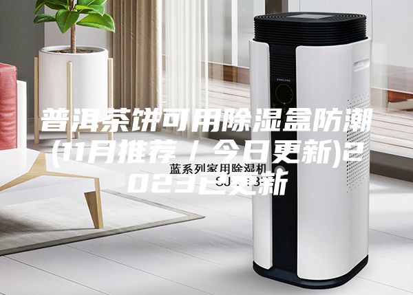 普洱茶餅可用除濕盒防潮(11月推薦／今日更新)2023已更新