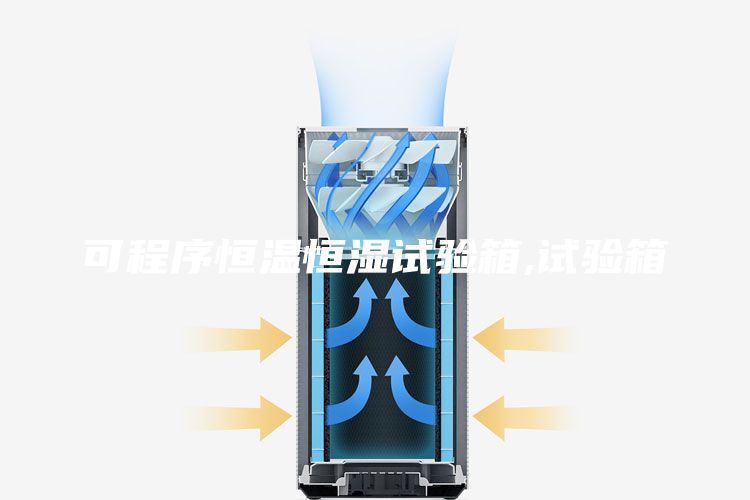 可程序恒溫恒濕試驗(yàn)箱,試驗(yàn)箱