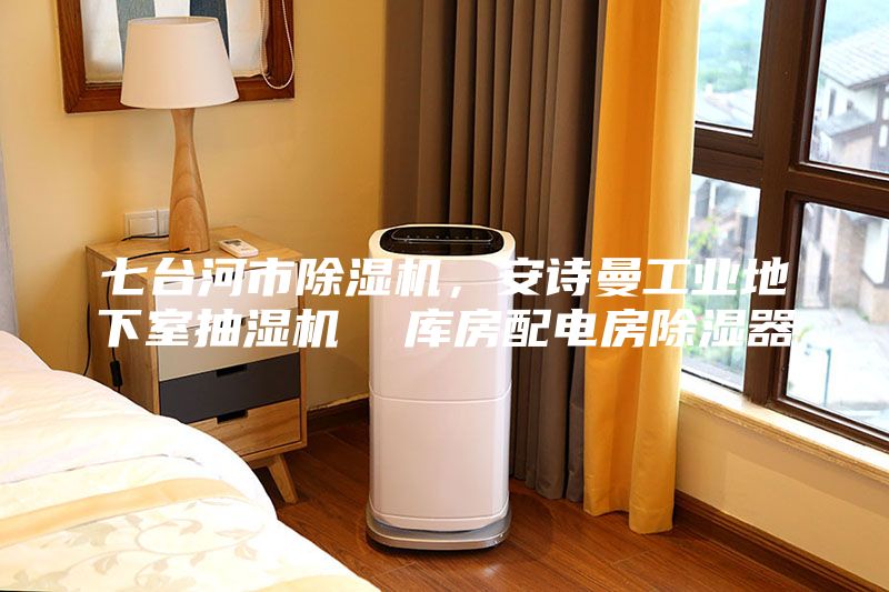 七臺河市除濕機,安詩曼工業地下室抽濕機 庫房配電房除濕器