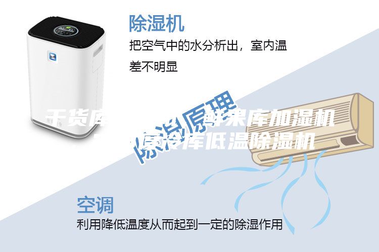 干貨庫除濕機(jī)，鮮果庫加濕機(jī)，2-8度冷庫低溫除濕機(jī)