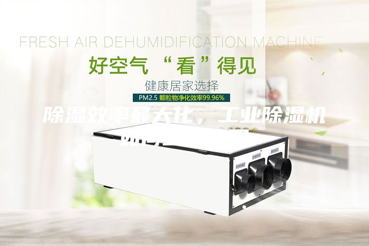 除濕效率最大化，工業除濕機如何正確使用