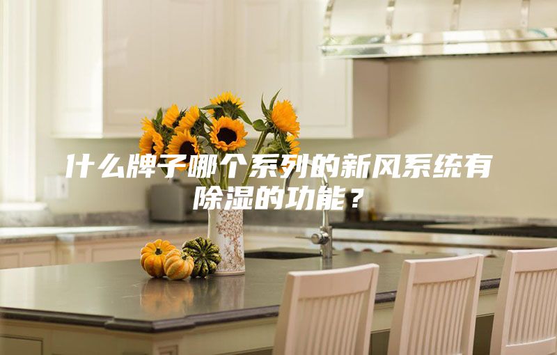 什么牌子哪個系列的新風系統(tǒng)有除濕的功能？