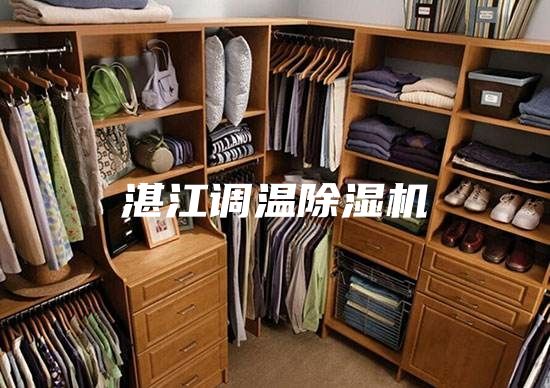 湛江調(diào)溫除濕機(jī)