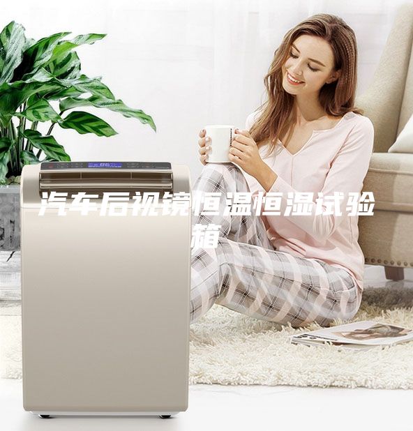 汽車后視鏡恒溫恒濕試驗(yàn)箱