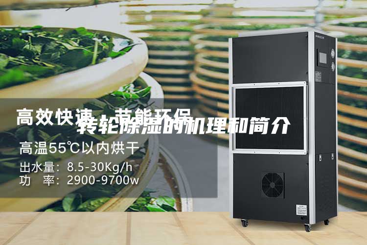 轉輪除濕的機理和簡介