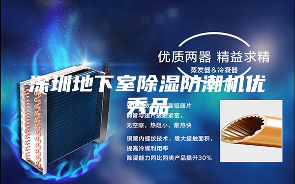 深圳地下室除濕防潮機優秀品