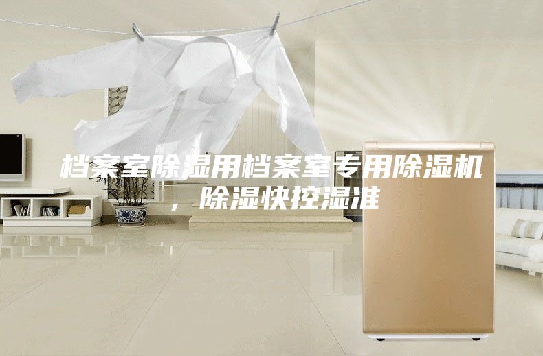 檔案室除濕用檔案室專用除濕機,除濕快控濕準