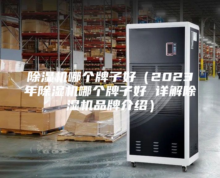 除濕機(jī)哪個(gè)牌子好（2023年除濕機(jī)哪個(gè)牌子好 詳解除濕機(jī)品牌介紹）