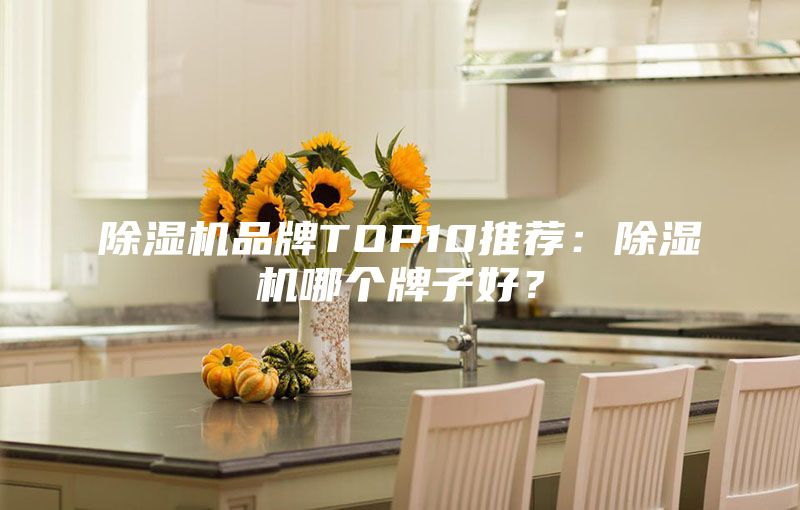 除濕機品牌TOP10推薦：除濕機哪個牌子好？