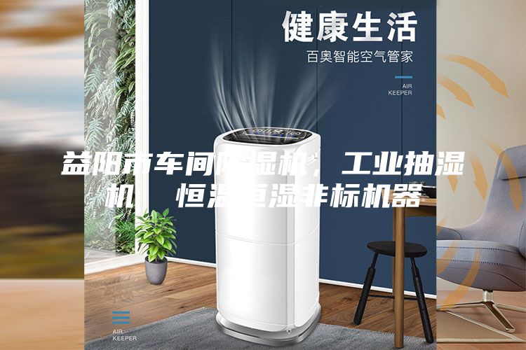益陽(yáng)市車間除濕機(jī)，工業(yè)抽濕機(jī)  恒溫恒濕非標(biāo)機(jī)器