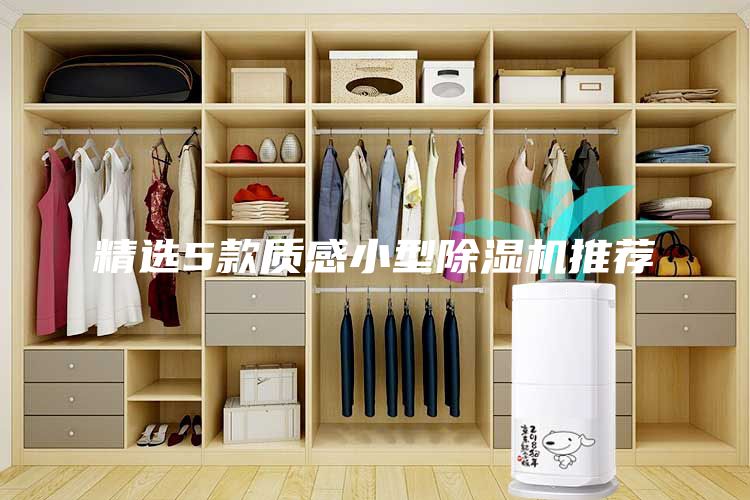 精選5款質(zhì)感小型除濕機(jī)推薦