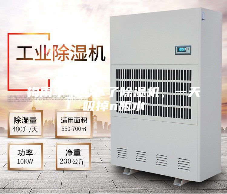 梅雨季節(jié)少不了除濕機(jī)，一天吸掉n瓶水
