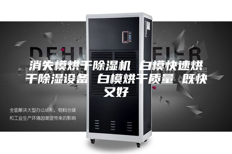消失模烘干除濕機 白?？焖俸娓沙凉裨O備 白模烘干質量 既快又好