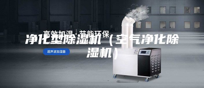 凈化型除濕機(jī)(空氣凈化除濕機(jī))