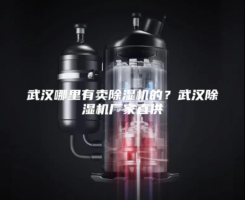 武漢哪里有賣除濕機(jī)的?武漢除濕機(jī)廠家直供