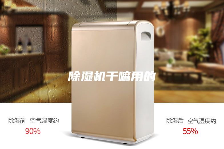 除濕機干嘛用的