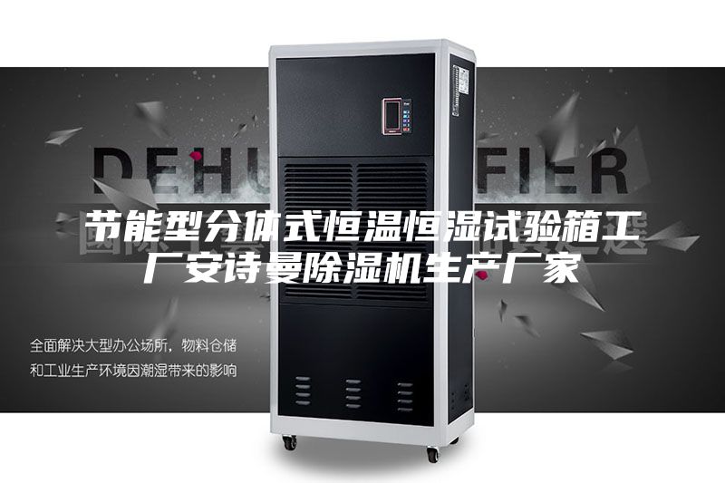 節(jié)能型分體式恒溫恒濕試驗箱工廠安詩曼除濕機生產(chǎn)廠家