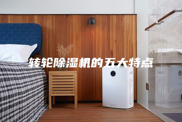 轉(zhuǎn)輪除濕機的五大特點