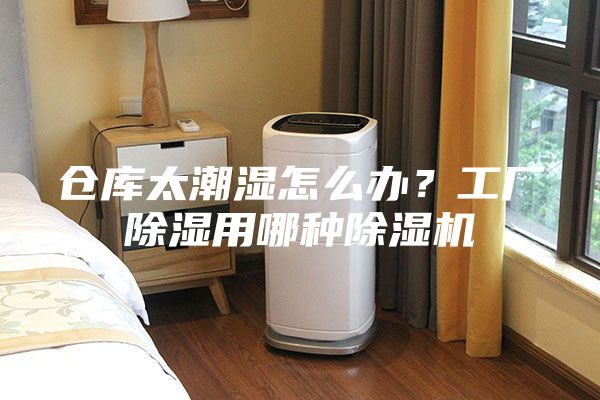 倉(cāng)庫(kù)太潮濕怎么辦？工廠除濕用哪種除濕機(jī)