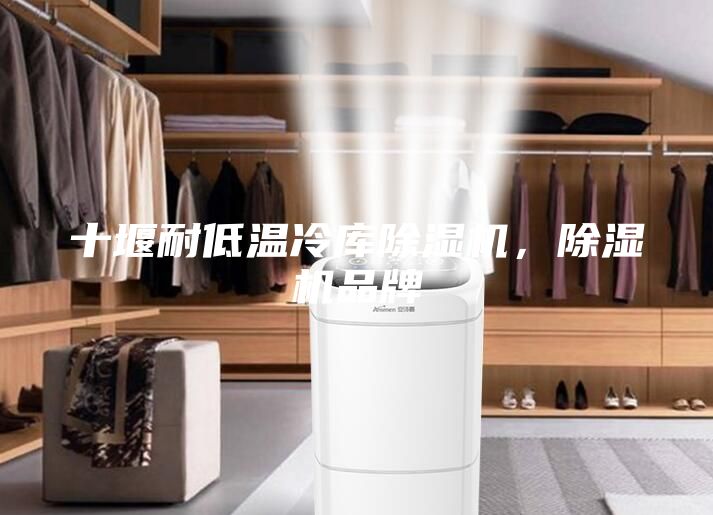 十堰耐低溫冷庫除濕機(jī)，除濕機(jī)品牌