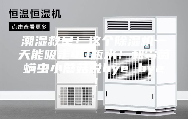 潮濕救星！這個除濕機(jī)一天能吸走40瓶水！和霉菌螨蟲小蘑菇說bye bye！