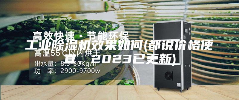 工業除濕機效果如何(都說價格便宜，2023已更新)