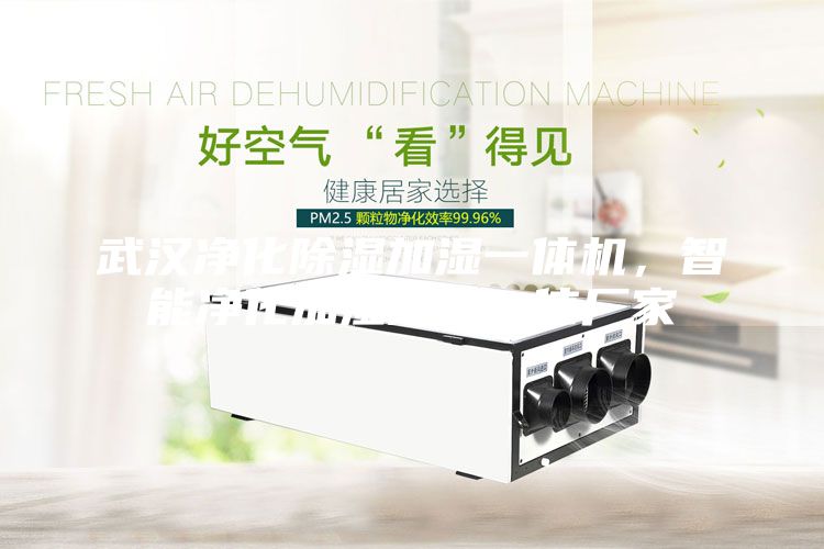 武漢凈化除濕加濕一體機，智能凈化加濕除濕一體廠家